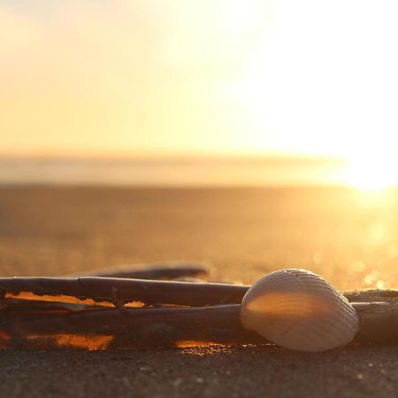 Hofje Van Maas Zandvoort Dış mekan fotoğraf