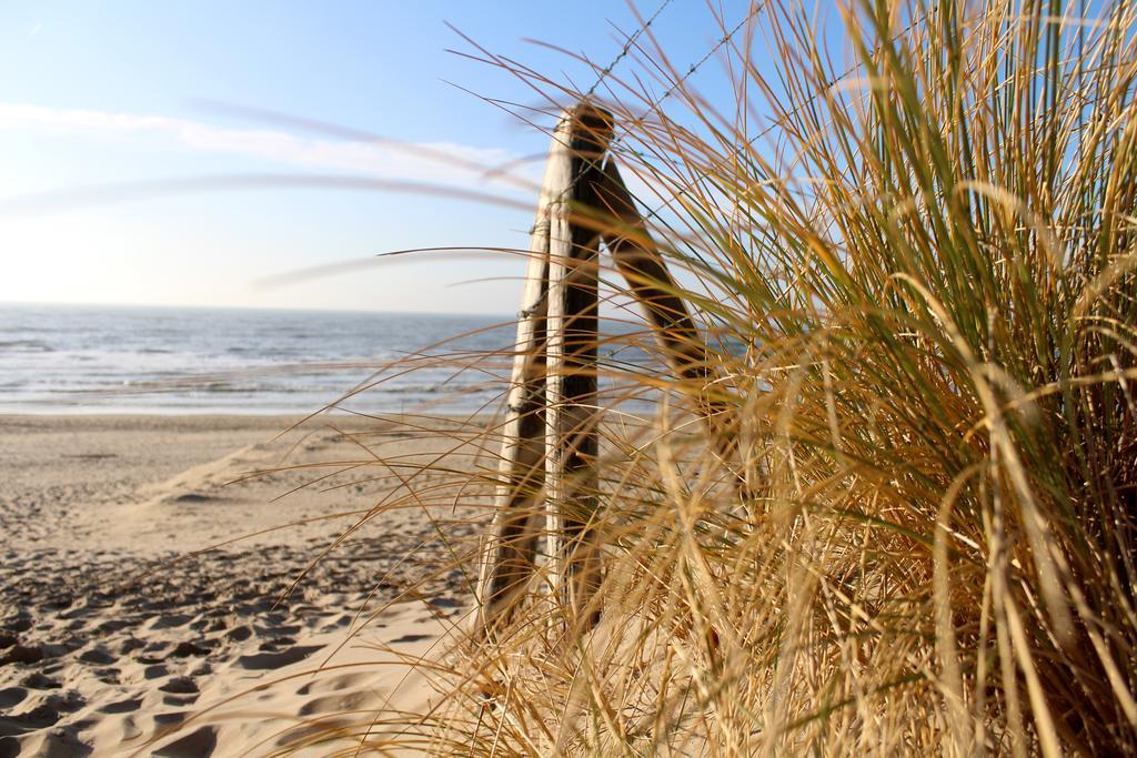 Hofje Van Maas Zandvoort Dış mekan fotoğraf