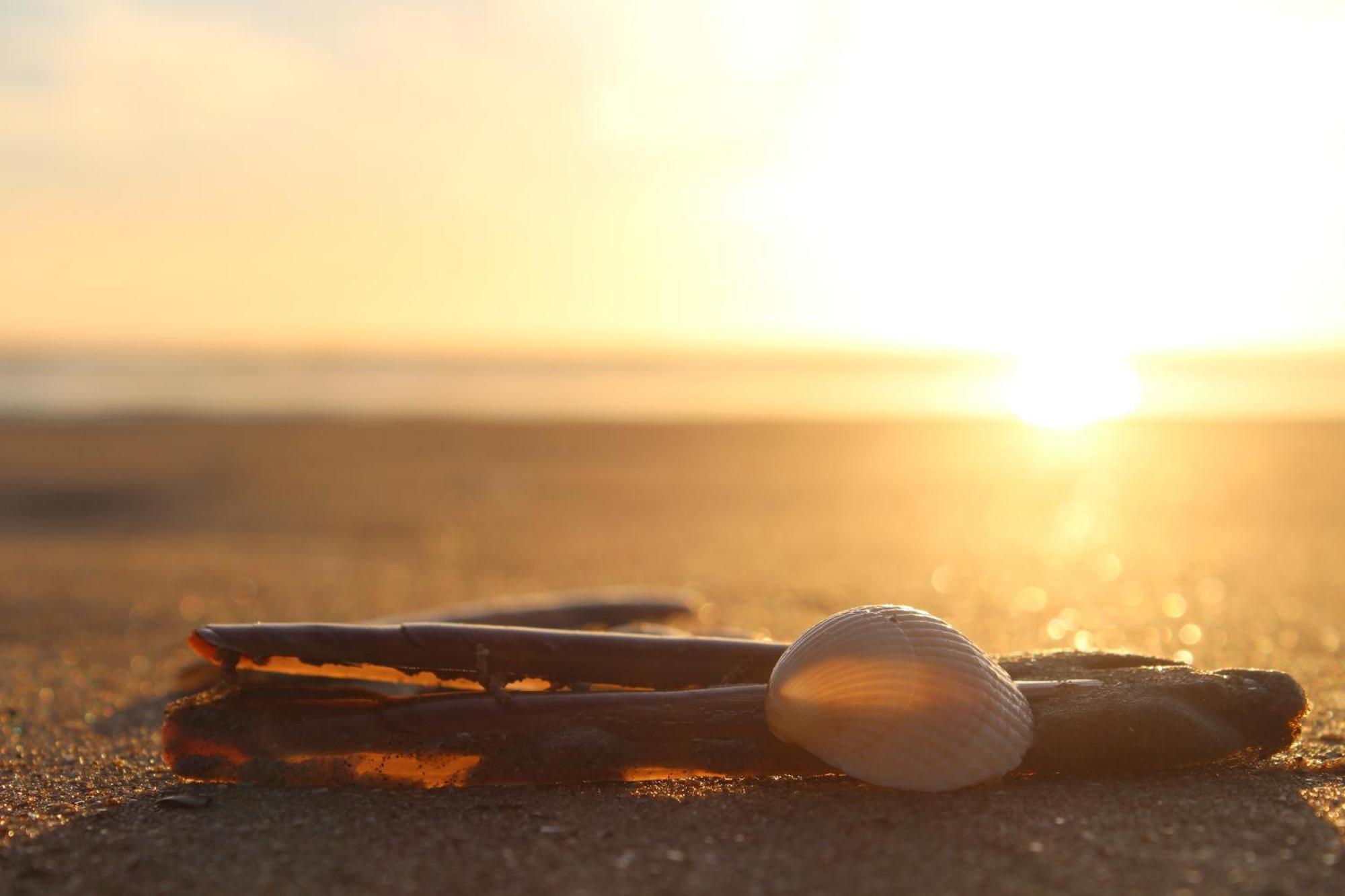 Hofje Van Maas Zandvoort Dış mekan fotoğraf