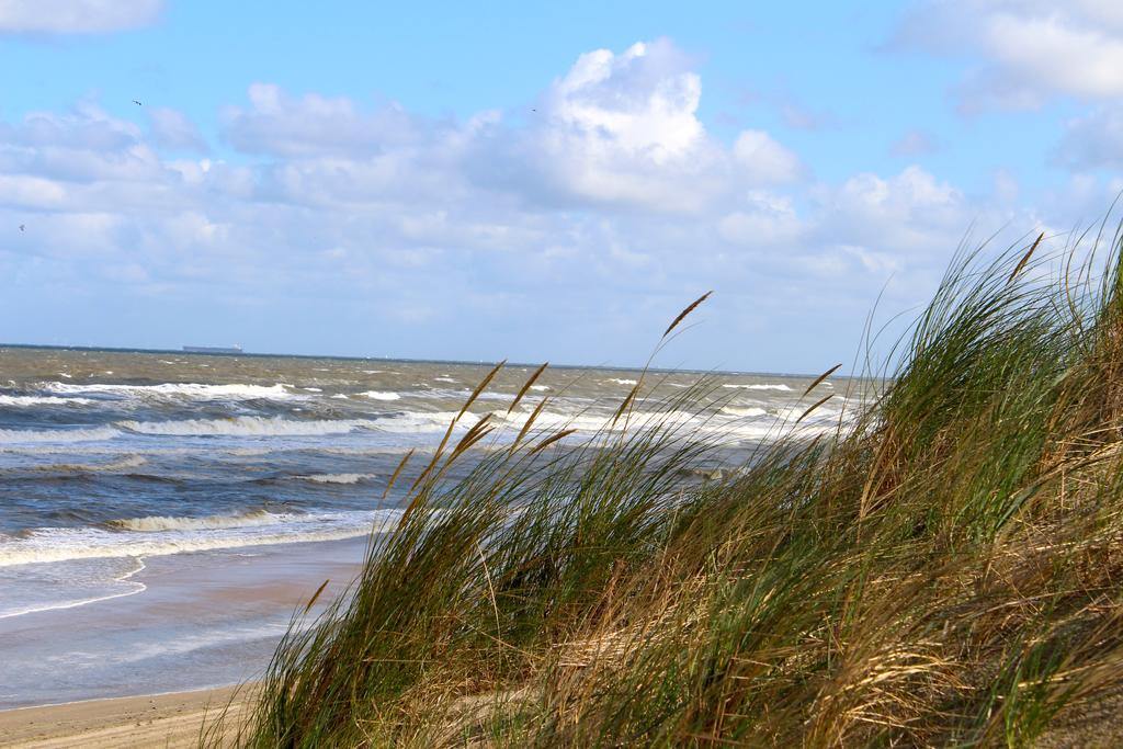 Hofje Van Maas Zandvoort Dış mekan fotoğraf